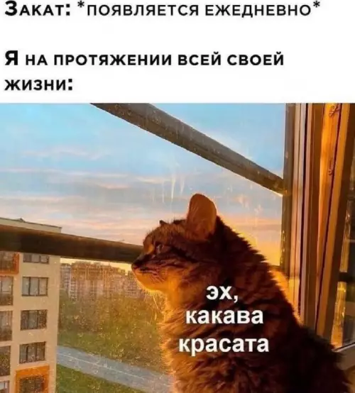 Смешная картинка №730315 Закаты