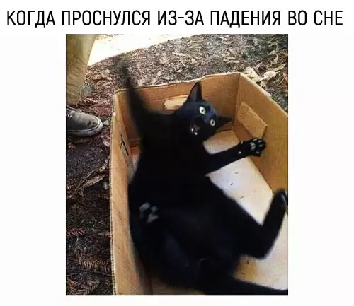 Смешная картинка №284146