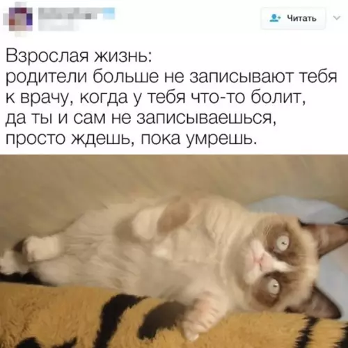 Смешная картинка №328493 :с