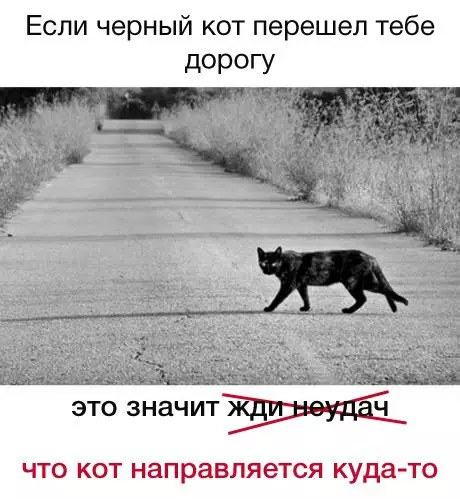 Смешная картинка №242804 Не усложняй