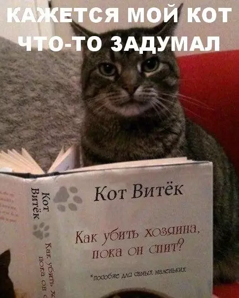 Смешная картинка №178158