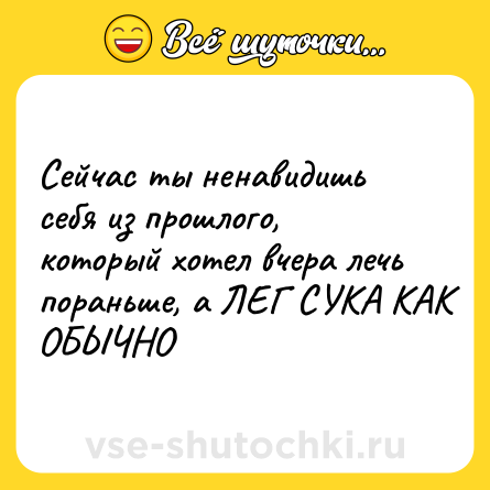 Шутка: Сейчас ты ненавидишь себя из прошлого, который хотел вчера лечь пораньше, а ЛЕГ СУКА КАК ОБЫЧНО