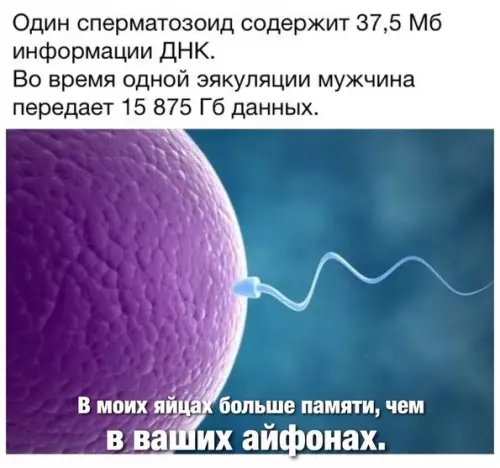 Смешная картинка №256868