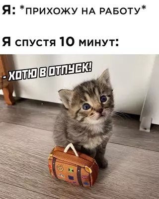 Смешная картинка №630713