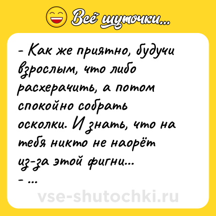 Шутка: - Как же приятно, будучи взрослым, что либо расхерачить, а потом спокойно собрать осколки. И знать, что на тебя никто не наорёт из-за этой фигни...<br>- Ты не женат, что ли?<br>