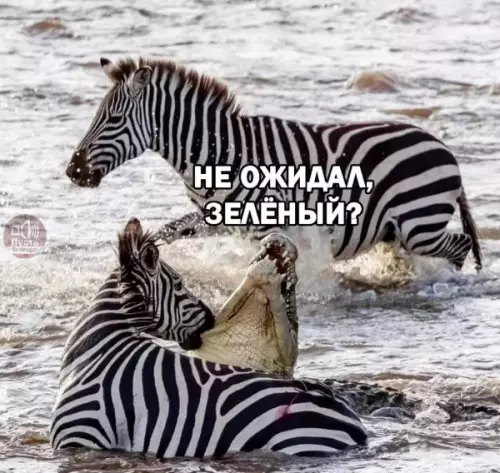 Смешная картинка №653239