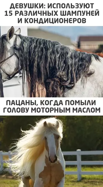 Смешная картинка №581759