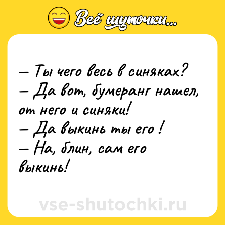 Шутка: Ты чего весь в синяках? Да вот, бумеранг нашел, от него и синяки! Да выкинь ты его ! На, блин, сам его выкинь!