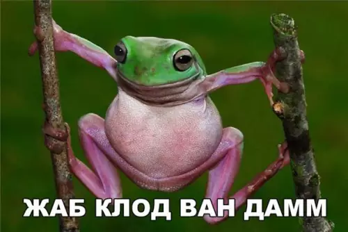 Смешная картинка №203681