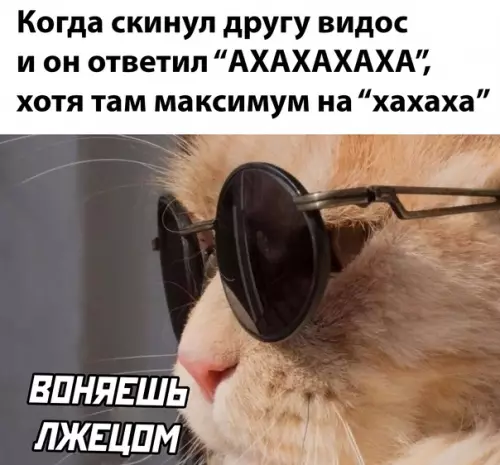 Смешная картинка №623077