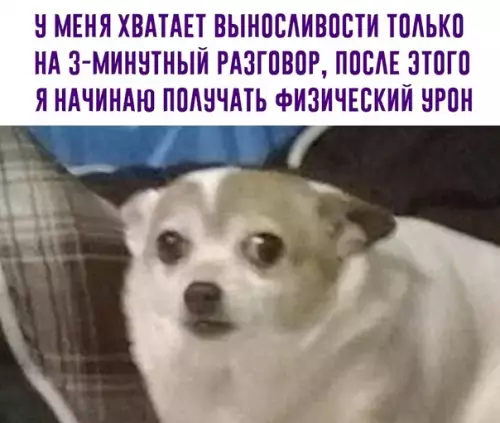 Смешная картинка №574872 Коротко о моей общительности:
