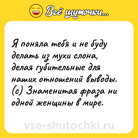 Шутка: Я поняла тебя и не буду делать из мухи слона, делая губительные для наших отношений выводы.<br>(с) Знаменитая фраза ни одной женщины в мире.