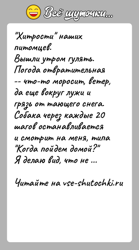 История: Хитрости наших питомцев.Вышли утром гулять. Погода отвратительная -- что-то моросит, ветер, да еще вокруг лужи и грязь от тающего снега.Собака