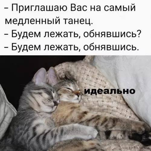 Смешная картинка №603859 Moй любимый тaнeц