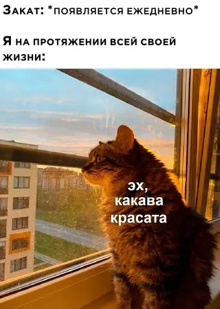 Смешная картинка №680258