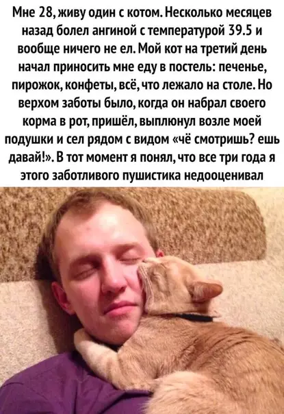 Смешная картинка №509295