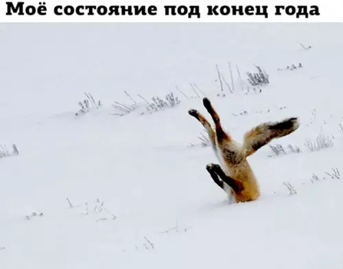 Смешная картинка №543532 Жизa