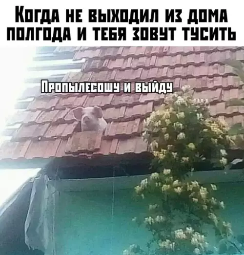 Смешная картинка №381335