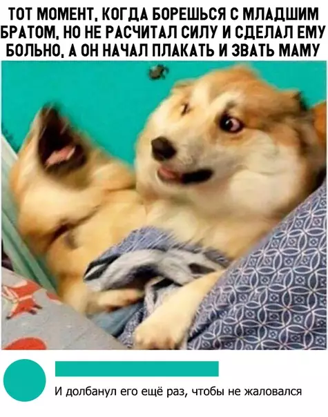 Смешная картинка №310433