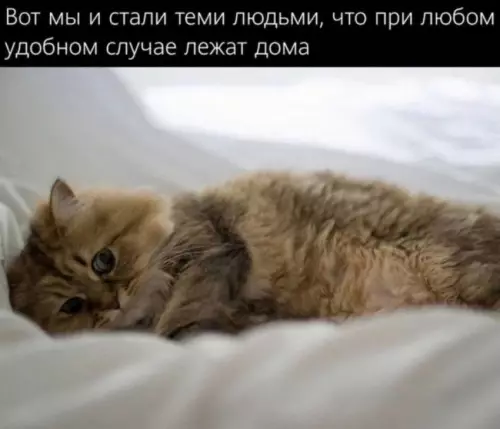 Смешная картинка №786653