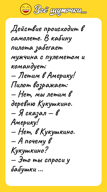 Действие происходит в самолете. В кабину пилота забегает мужчина с
