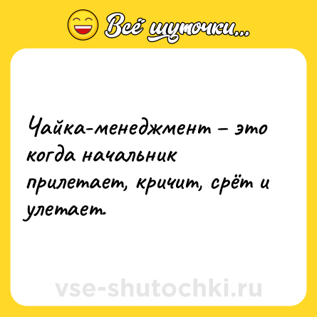 Шутка: Чайка-менеджмент – это когда начальник прилетает, кричит, срёт и улетает.