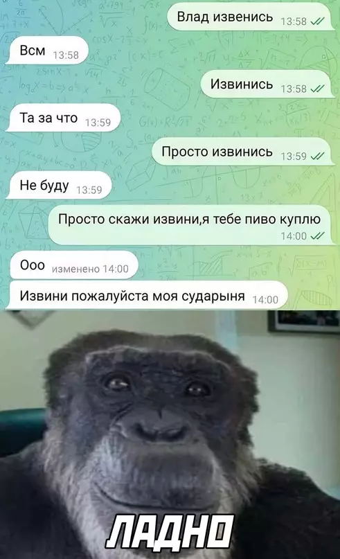 Смешная картинка №702928 Переписка