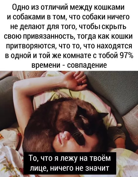 Смешная картинка №469870