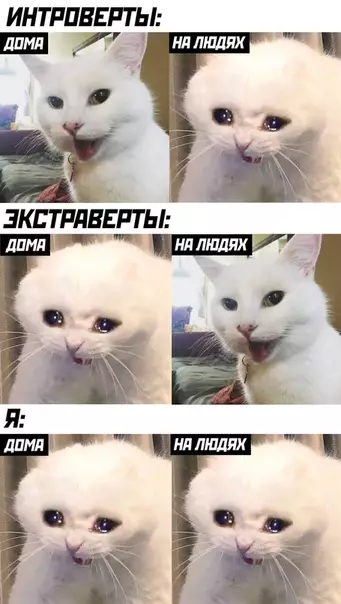 Смешная картинка №510795
