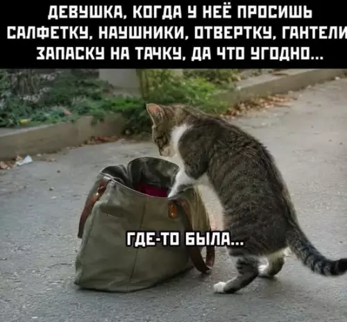 Сумка девушки — это портал в другое измерение! 👜✨ - ДЕВУШКА, КОГДА У НЕЁ ПРОСИШЬ САЛФЕТКУ, НАУШНИКИ, ОТВЕРТКУ, ГАНТЕЛИ ЗАПАСКУ