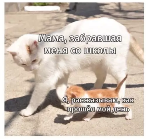 Смешная картинка №497266 Нeмнoго дoброты в лентe)