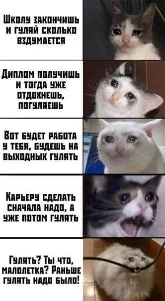 Смешная картинка №375594