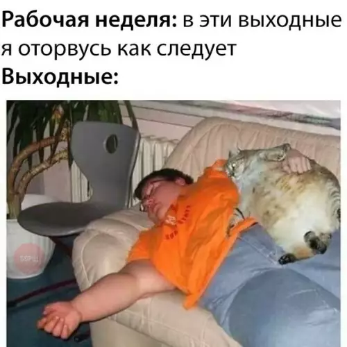 Смешная картинка №263723 И так всегда