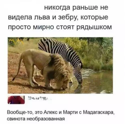 Смешная картинка №373908 Как можно этого не знать