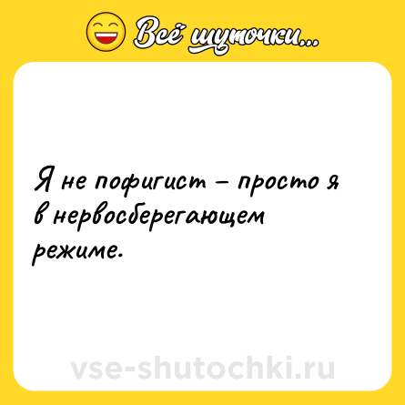 Шутка: Я не пофигист – просто я в нервосберегающем режиме.
