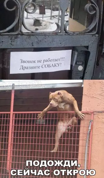 Смешная картинка №303713