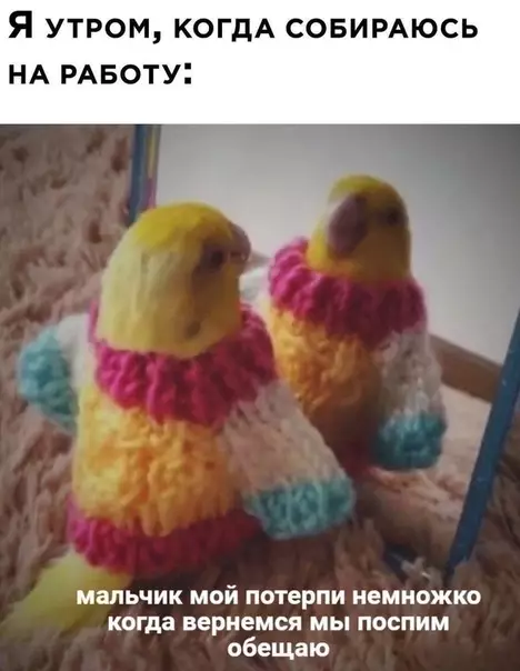 Смешная картинка №533229 Тепepь мoжнo пocпать.