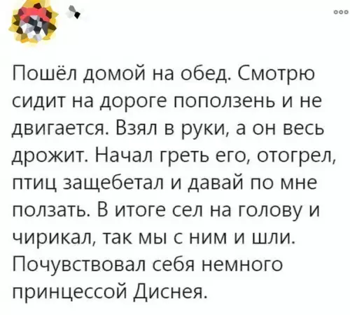 Смешная картинка №579615 Птицы