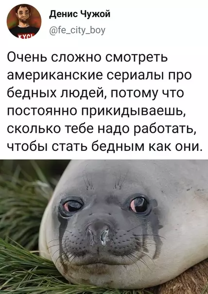 Смешная картинка №499958