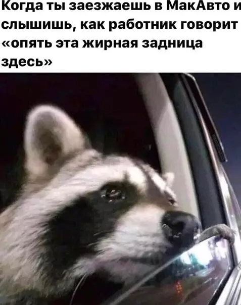 Смешная картинка №517558