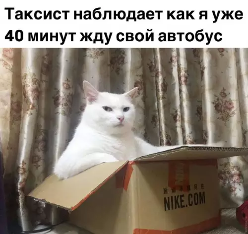 Смешная картинка №721555