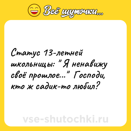 Шутка: Статус 13-летней школьницы: 
