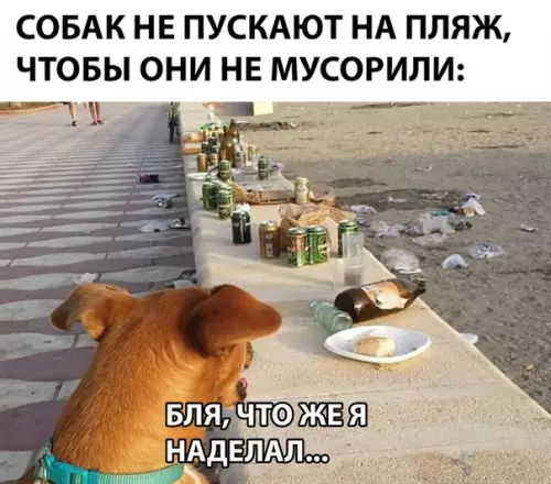 Смешная картинка №290542