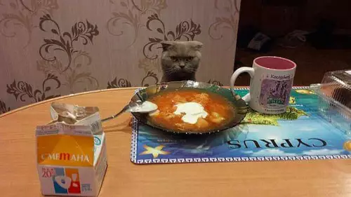 Смешная картинка №374493 Где хлеб, женщина?!
