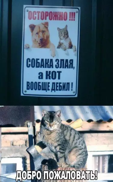 Смешная картинка №181444