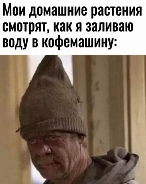 Смешная картинка №733079 Доколе 