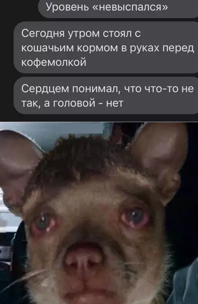 Смешная картинка №540944