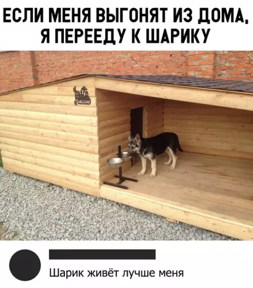 Смешная картинка №338501