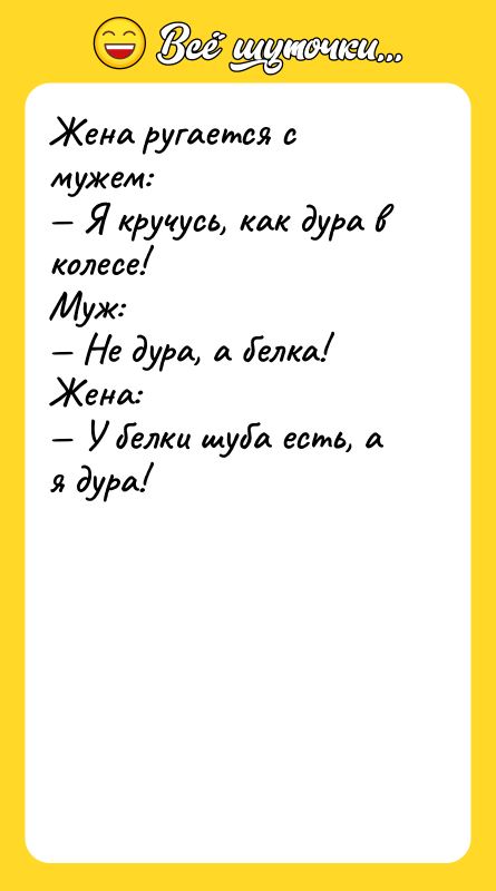 Жена ругается с мужем: Я кручусь, как дура в