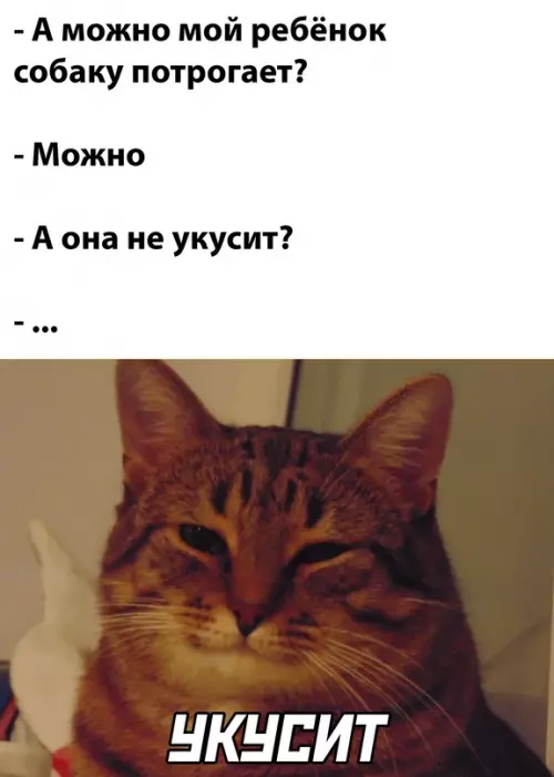 Смешная картинка №696889